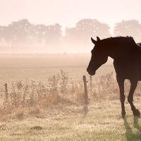 Vivre et accepter le deuil (Partie 1)
