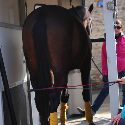 Emotion, quand tu nous tiens trop !