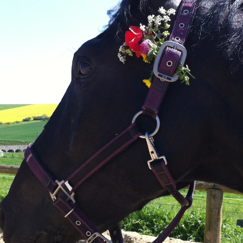 A travers mon regard… Vivre et accepter le deuil (Partie 2)