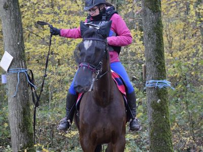 Dossier Assurances : pratique de l&rsquo;équitation et prêt immobilier