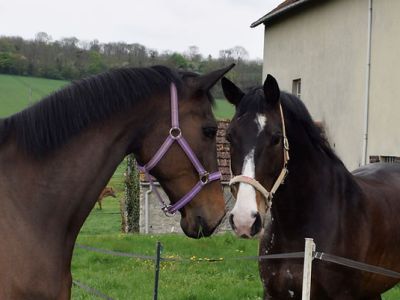 Comparatif des produits pour chaleurs douloureuses