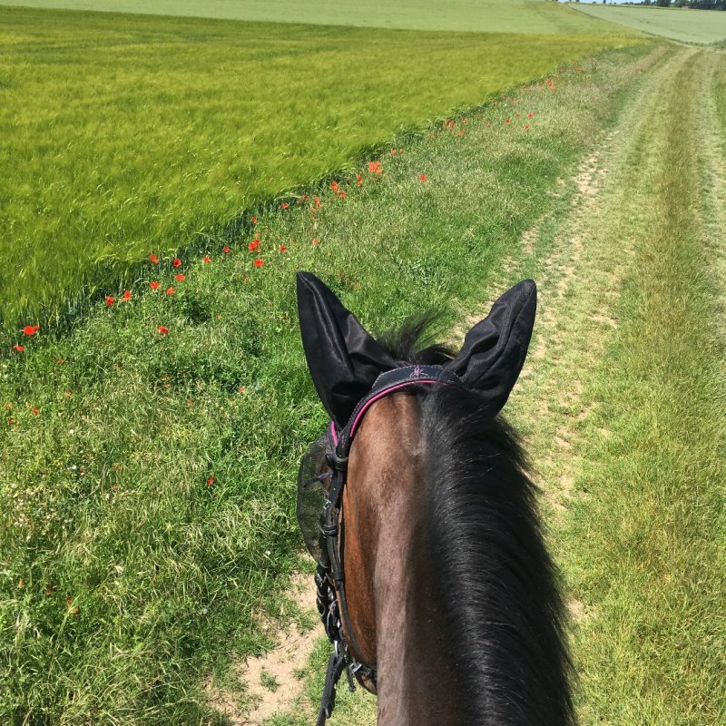 A travers mon regard… Il en faut peu pour être heureux