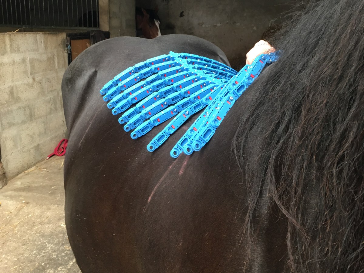 Equiscan, un outil au service des selliers et du dos des chevaux