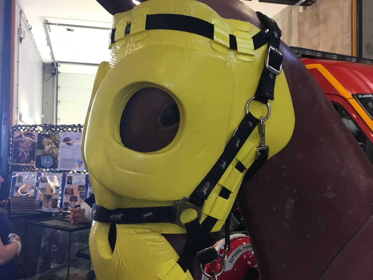 Pompiers du 78 : une unité spécialisée dans le secours aux animaux