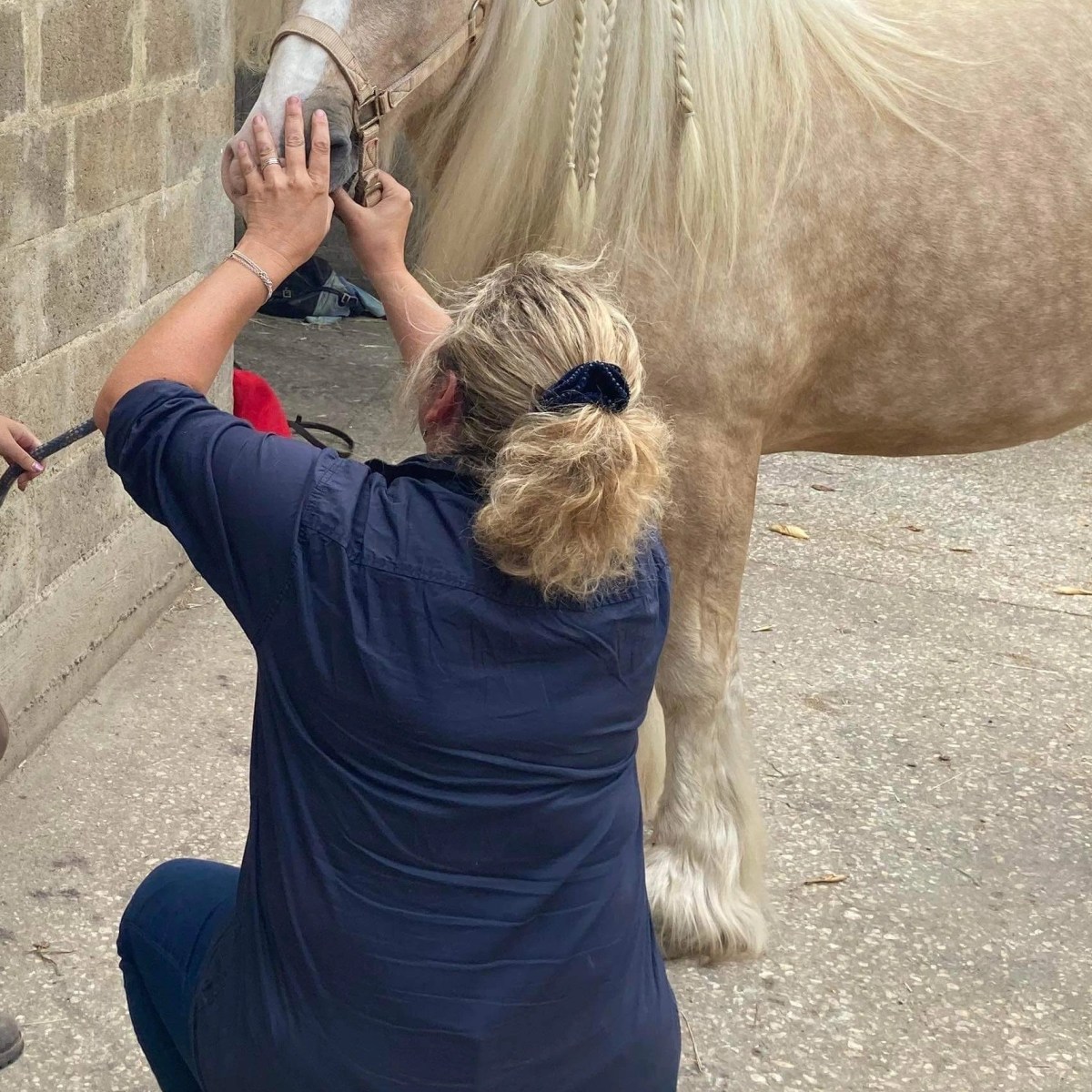 A travers mon regard… une séance de bitfitting