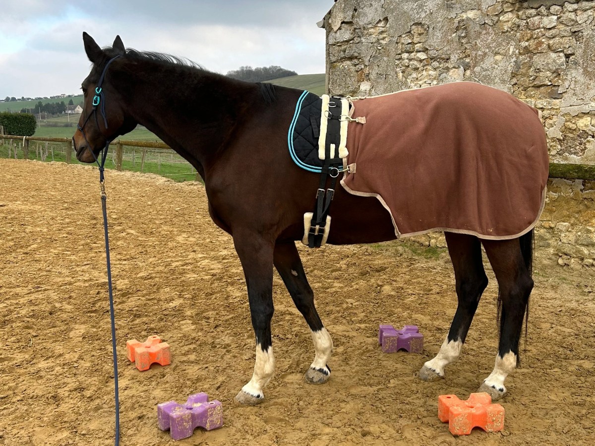 DIY : Fabriquer un couvre-reins de longe