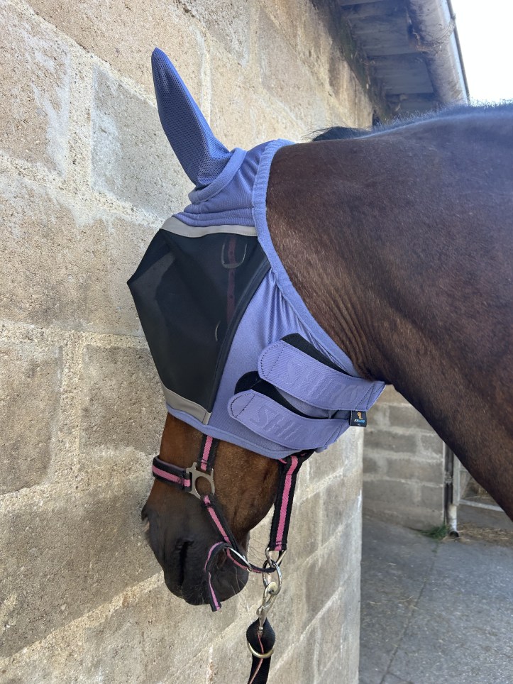 Masque Anti mouche FlyGuard Pro Series porté par un cheval