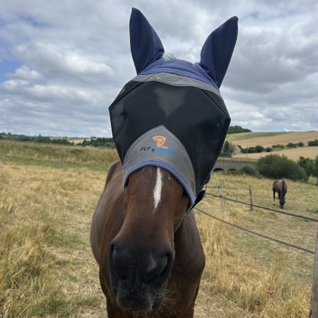 cheval portant le masque FlyGuard Pro Series Fine Mesh
